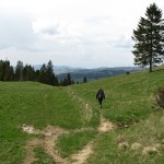 Zejście z Przełęczy Rozdziele do Jaworek