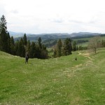 Zejście z Przełęczy Rozdziele do Jaworek