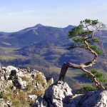 Szczyt Wysokiej 1050 m widziany z Sokolicy 747 m