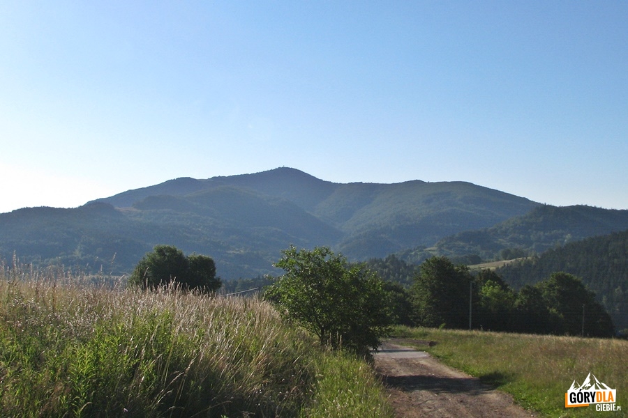 Mogielica widziana z przełęczy między Jurkowem a Wilczycami