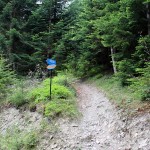 Na trasie "Mogielica" - skrzyżowanie z żółtym szlakiem Słopnice - Mogielica