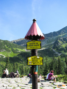 Skrzyżowania pod Przednim Zielonym (słow. Predné zelené) w Spalonej Dolinie