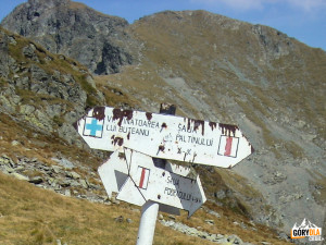 Skrzyżowanie szlaków na przełęczy Şaua Capre (5315 m)