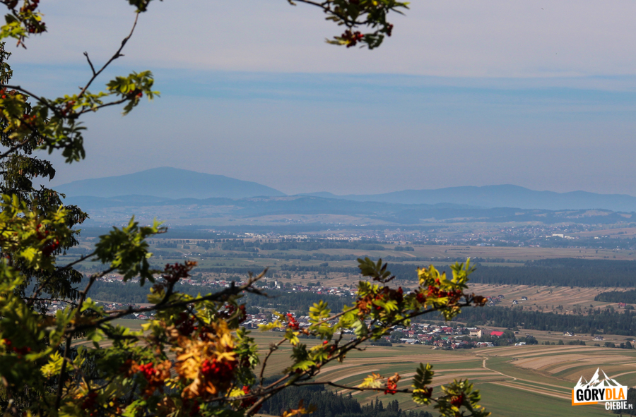 Widok z Żaru (883 m) na odległą Babią Górę i Pasmo Policy