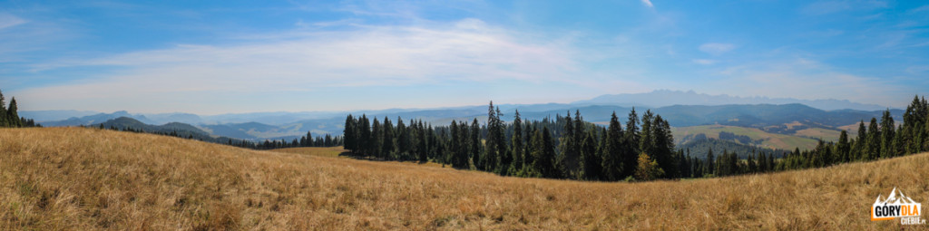 Panorama Pienin, Spisza i Tatr z polany pod granią Żaru (883 m)