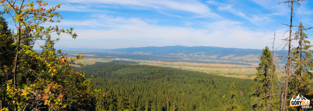 Widok z Żaru (883 m) na Gorce Zachodnie, odległą Babią Górę i Pasmo Policy