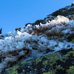 Lodowe trawki przy podejściu pod Skrajny Granat