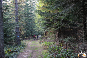 Niebieski szlak na Przełęcz Małastowską