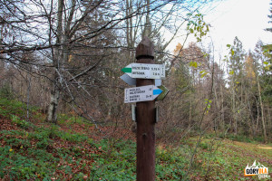 Węzeł szlaków pod Schroniskiem na Magurze Małastowskiej
