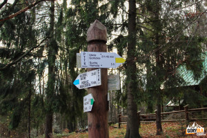 Węzeł szlaków pod Schroniskiem na Magurze Małastowskiej