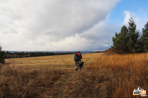 Żółty szlak z Magury Małastowskiej do Uścia Gorlickiego
