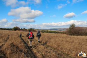 Żółty szlak z Magury Małastowskiej do Uścia Gorlickiego