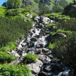 Litworowy Potok (słow. Litvorový potok)