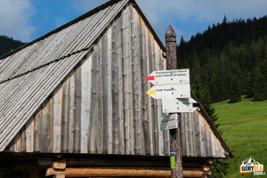 Polana Chochołowska