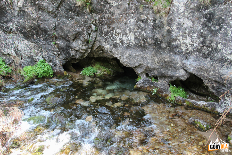 Jaskinia Wodna pod Pisaną