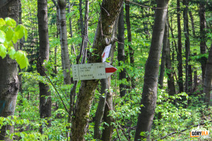 Droga do Pustelni św. Jana z Dukli (czerwony szlak z Chyrowej)