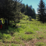 Nieduża, dzika polanka, z której skręcamy w lewo do strumieni