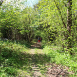 Trasa czerwonego szlaku na Grzywacką Górę