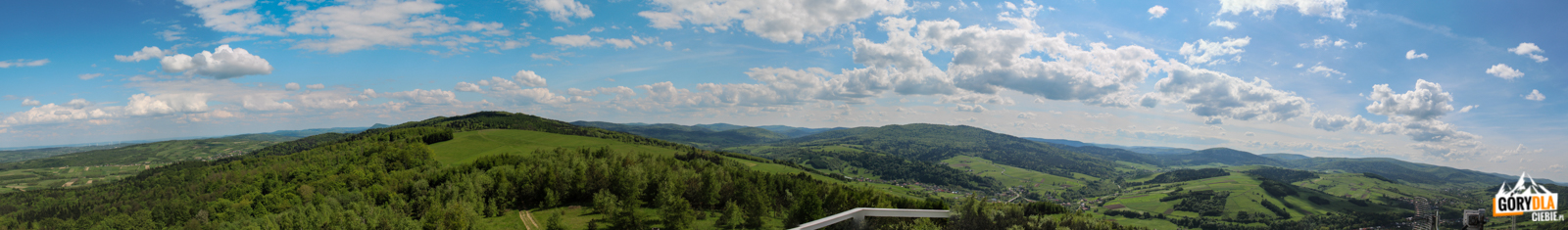 Panorama z Grzywackiej Góry