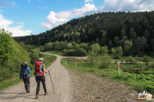 Droga prowadząca od Farfurni, pierwsza w prawo do Białego Potoku