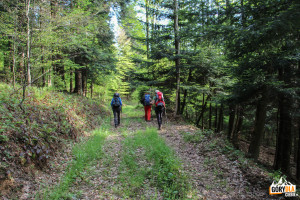 Droga wzdłuż Białego Potoku