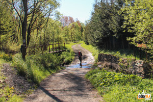 Czerwony szlak z Chyrowej - do Pustelni św. Jana z Dukli