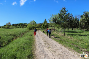 Czerwony szlak z Chyrowej - do Pustelni św. Jana z Dukli