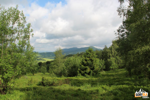 Widok z zielonego szlaku na Połoninę Caryńską w kirerunku Połoniny Wetlińskiej