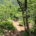 Zejście z Wielkiej Rawki niebieskim szlakiem do Ustrzyk Górnych