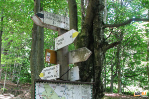 Zejście żółtym szlakiem z Połoniny Wetlińskiej na Przełęcz Wyżnią, czarny szlak odchodzi na Kemping „Górna Wetlinka”