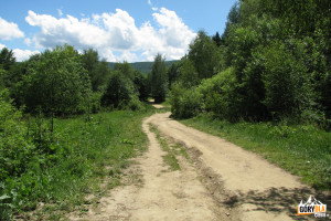 Zejście żółtym szlakiem z Połoniny Wetlińskiej na Przełęcz Wyżnią