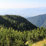 Ostredok (Małe Otargańce) dwuwierzchołkowy szczyt (wys. 1674 m i 1714 m)