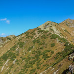 Grań Otargańców - Ostredok (1714 m), Niżna Magura (1920 m), Pośrednia Magura (2050 m), Wyżnia Magura (2095 m) i Raczkowa Czuba (słow. Jakubina, 2194 m).