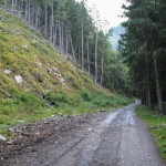 Wąska Dolina - droga w kierunku polany Niżna Łąka