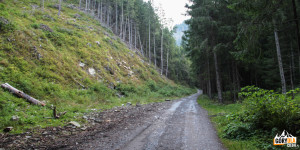Wąska Dolina - droga w kierunku polany Niżna Łąka