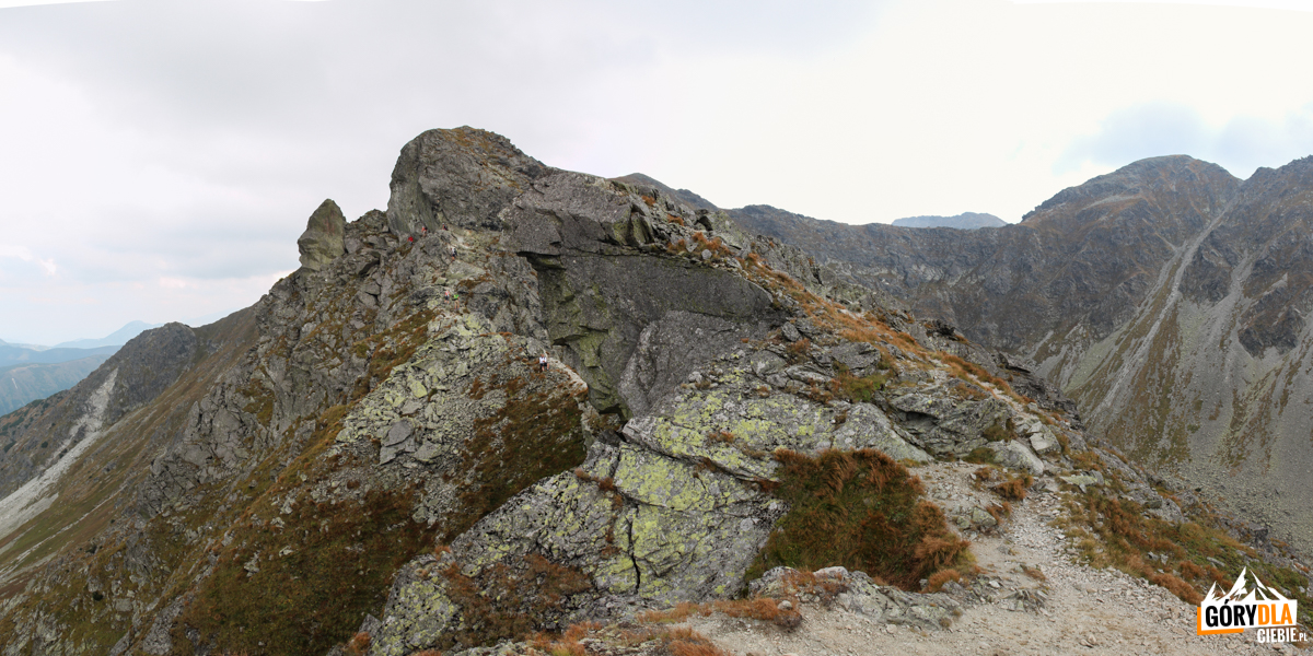 Na grani pomiędzy Przełęczą Dzwon (1907 m), a Spaloną Kopą (2083 m)