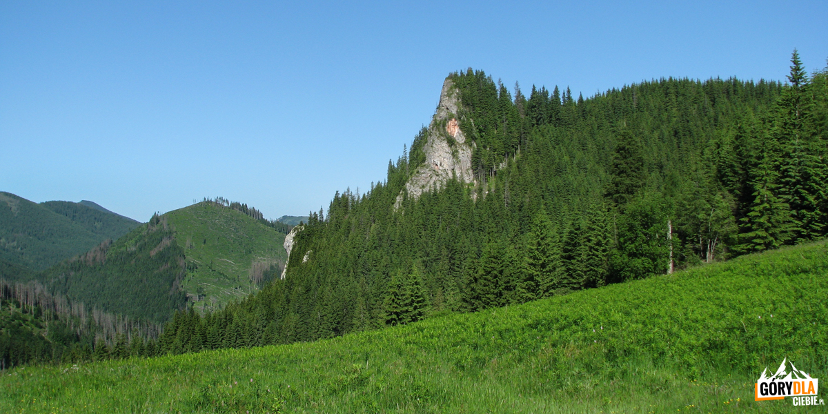 Zawiesista Turnia (1296 m) nad Przysłopem Miętusim (1187 m)