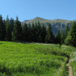 Niebieski szlak na Małołączniak z Przysłopu Miętusiego (1187 m)