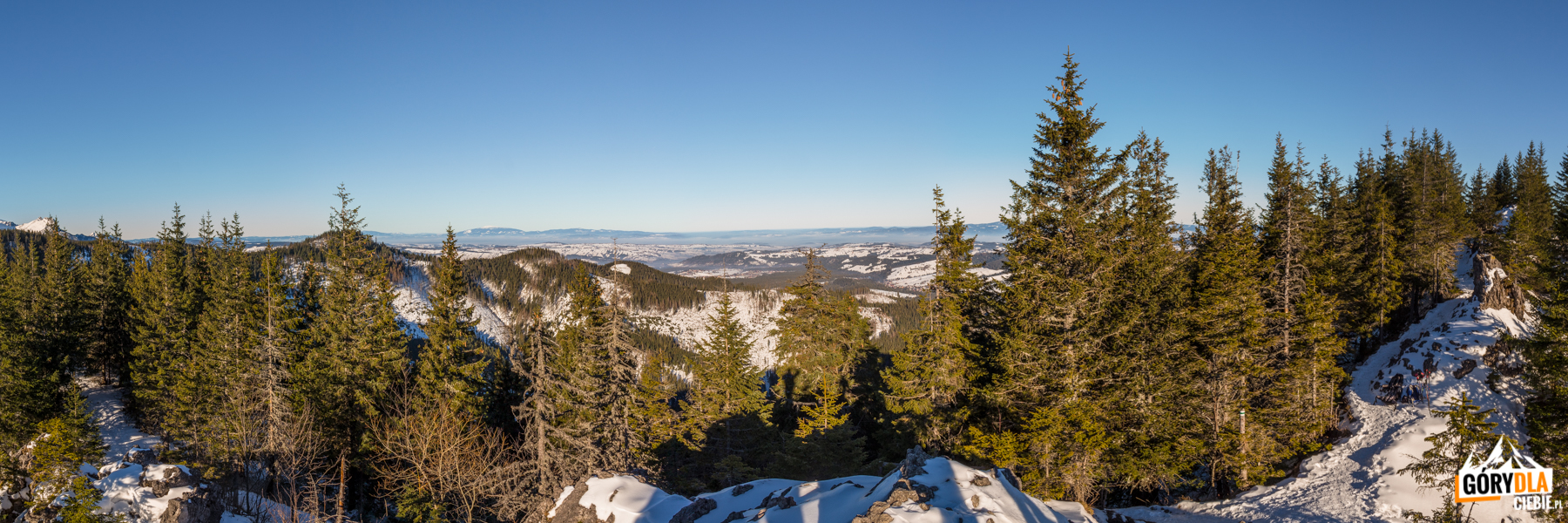 Widok na Podhale ze szczytu Gęsiej Szyi (1489 m)