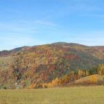Panorama z podejścia na Pustą Wielką (1061 m) - widać juz Tatry i Pasmo Radziejowej