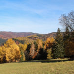 Lasy nad Wierchomlą w jesiennych kolorach.