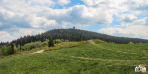 Widok z Gorca Kamienickiego na szczyt Gorca (1228 m)