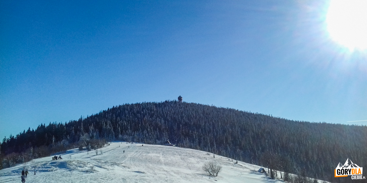 Widok z Gorca Kamienickiego na szczyt Gorca (1228 m)