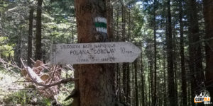 Zielony szlak z Hali Miziowej do Sopotni, scieżka na Halę Górową
