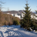 Czerwony szlak pod szczytem Jaworzyny (1173 m)