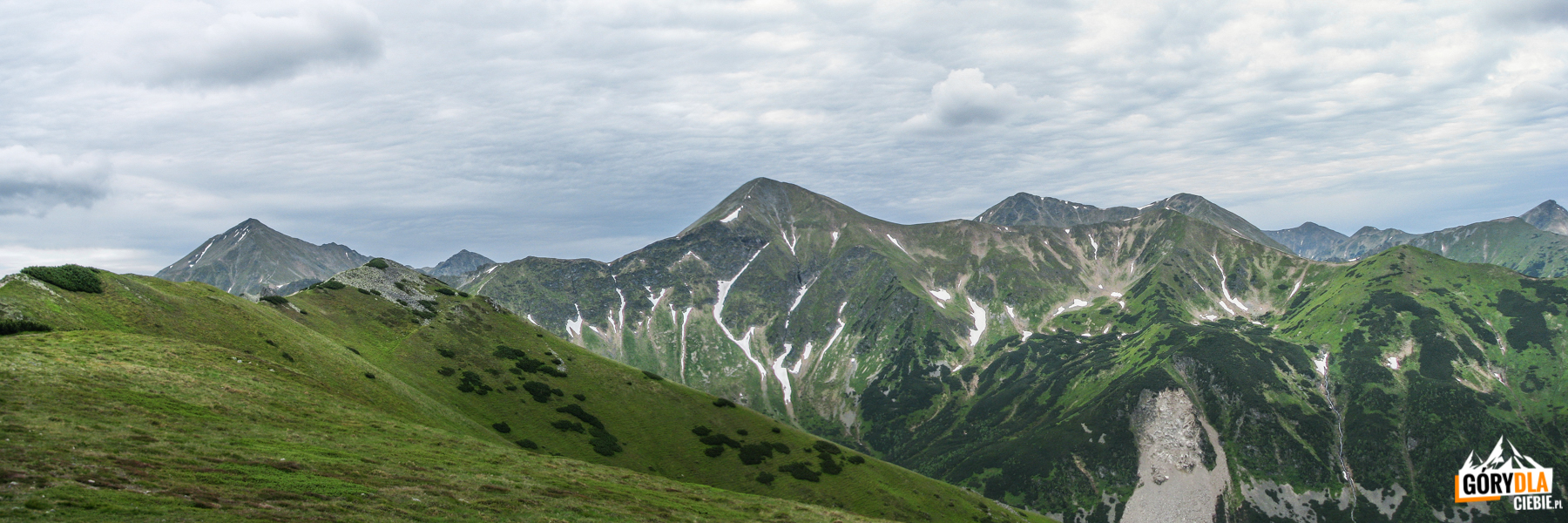 Widok z Suchego Wierchu Ornaczańskiego (1832 m) - od lewej: Błyszcz (2158 m) i Bystra (2248 m), Zadnia Kopa (2162 m), Starorobociański Wierch (2176 m), Raczkowa Czuba (2194 m), Jarząbczy Wierch (2137 m), Baraniec (2185 m), Smrek (2082 m) i Rohacze