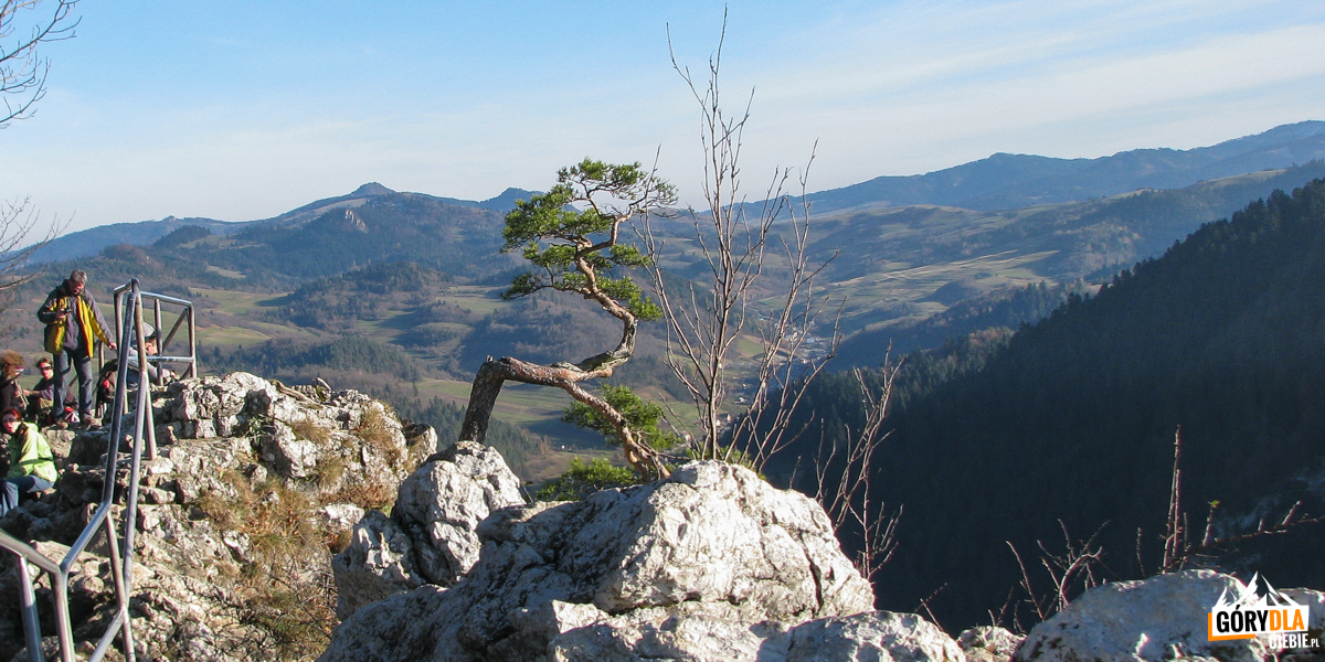 Widok ze szczytu Sokolicy (747 m) w kierunku na Małe Pieniny i najwyższy szczyt Pienin - Wysoką (1050 m)