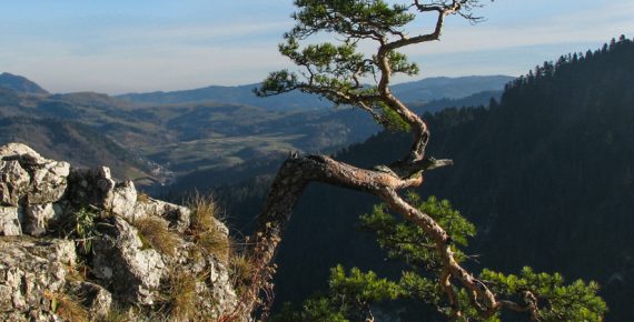 Sokola Perć w Pieninach