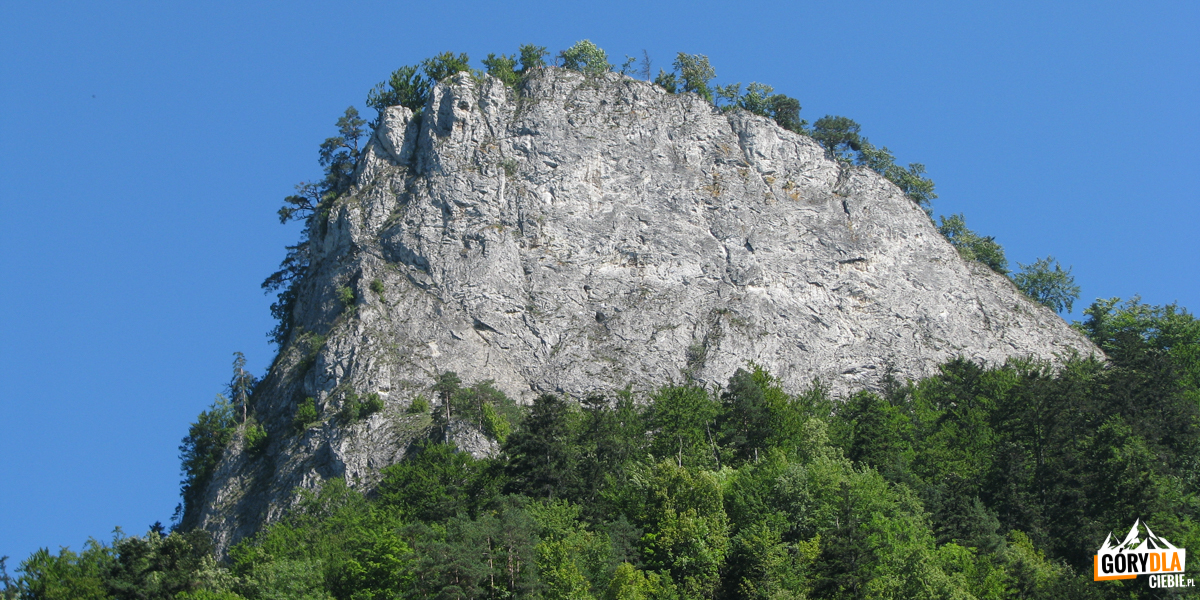 Ściana Sokolicy (100 m pionu) widziana z Przełomu Dunajca