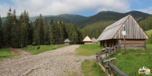 Polana Chochołowska - szlaki do Jarząbczej Doliny i na Trzydniowiański Wierch (1758 m)
